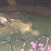 Cartavio: destruyen estatua alusiva al trabajador cartavino