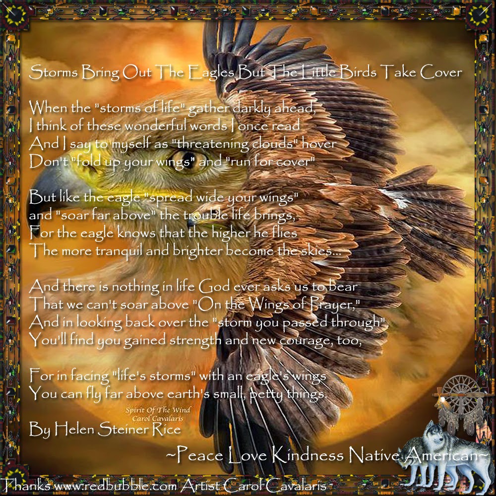 Peace Love Kindness Poems: Storms Bring Out The Eagles