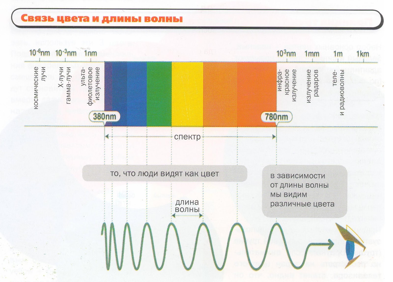 Частота световых волн разных цветов. Длины волн цветов. Длина волны цвета. Длина световой волны. Частоты разных цветов.