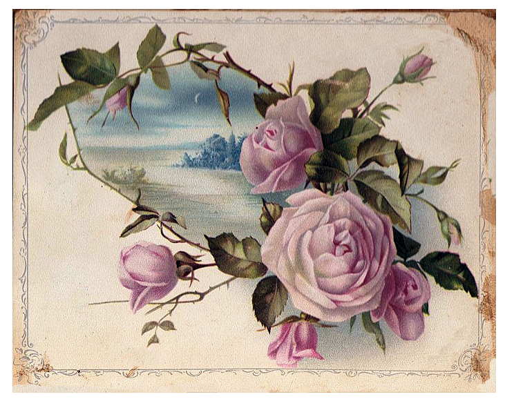 DELIGHTFUL CLUTTER...by Rose Antique Rose postcards, etc..