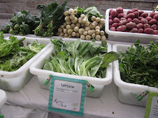 Friday February 18 Greenmarket