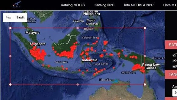 Kebakaran Hutan Indonesia Meluas ke Maluku-Papua, Titik Api Tembus 3000