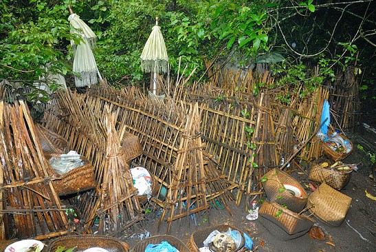 Destinasti Objek Wisata Desa Terunyan Di Kintamani Bangli Bali Ihategreenjello