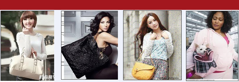 Fashionable Ladies Bags