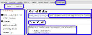 Google Chrome pagesSpeed özeti