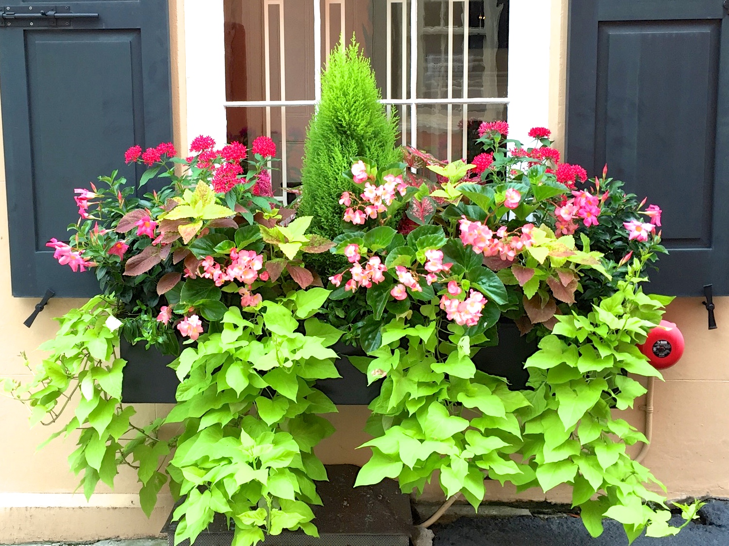 JLL DESIGN: Window Box Ideas & More Garden Inspirations