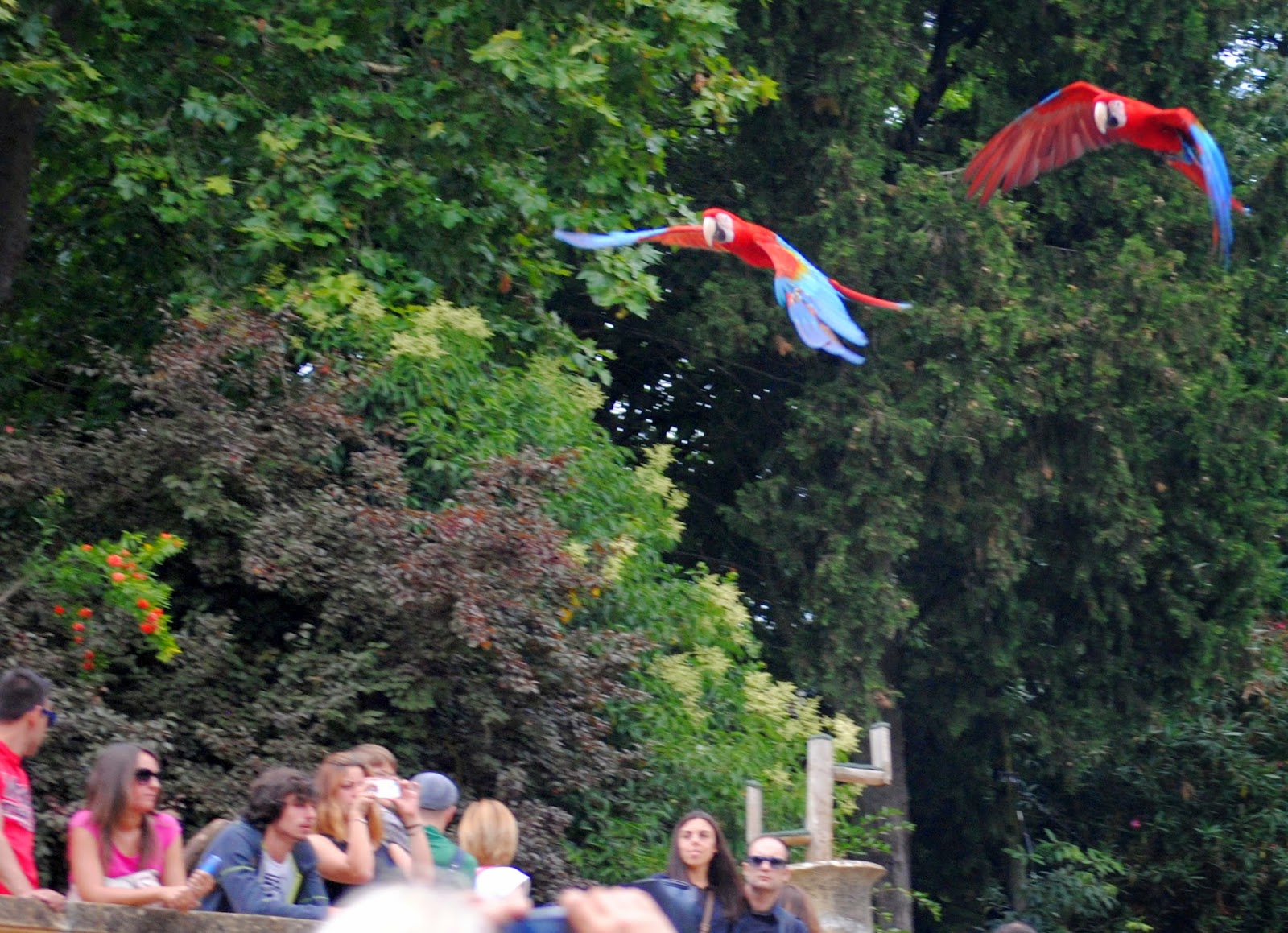 Presente & Passado Uma visita diferente ao Jardim Zoológico de Lisboa