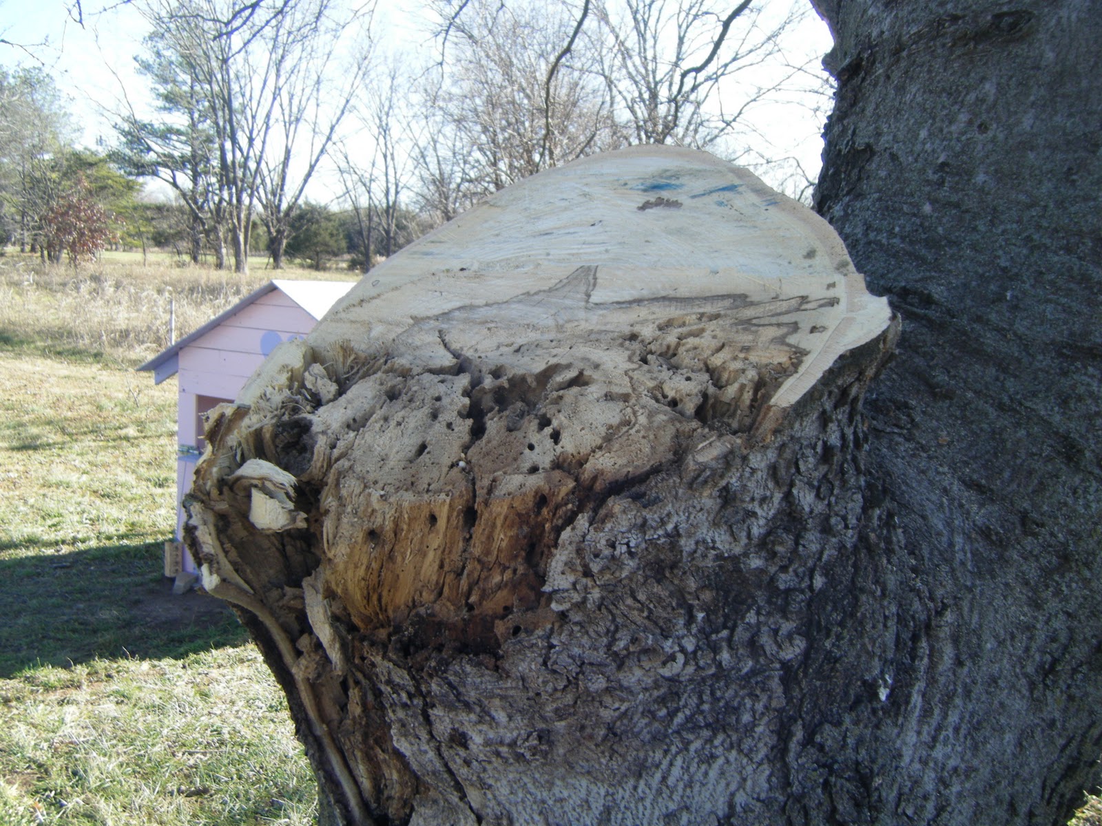Windy Acres Diary: January 2012