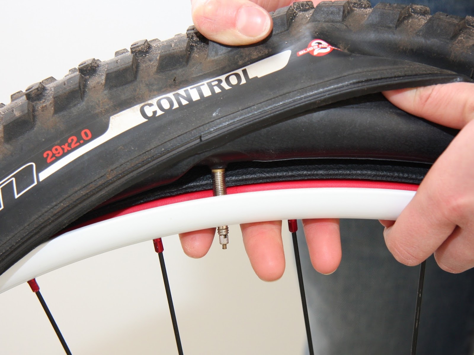 Mountain Bike Lover 10 Mountain Bike Accessories Every Mountain Biker