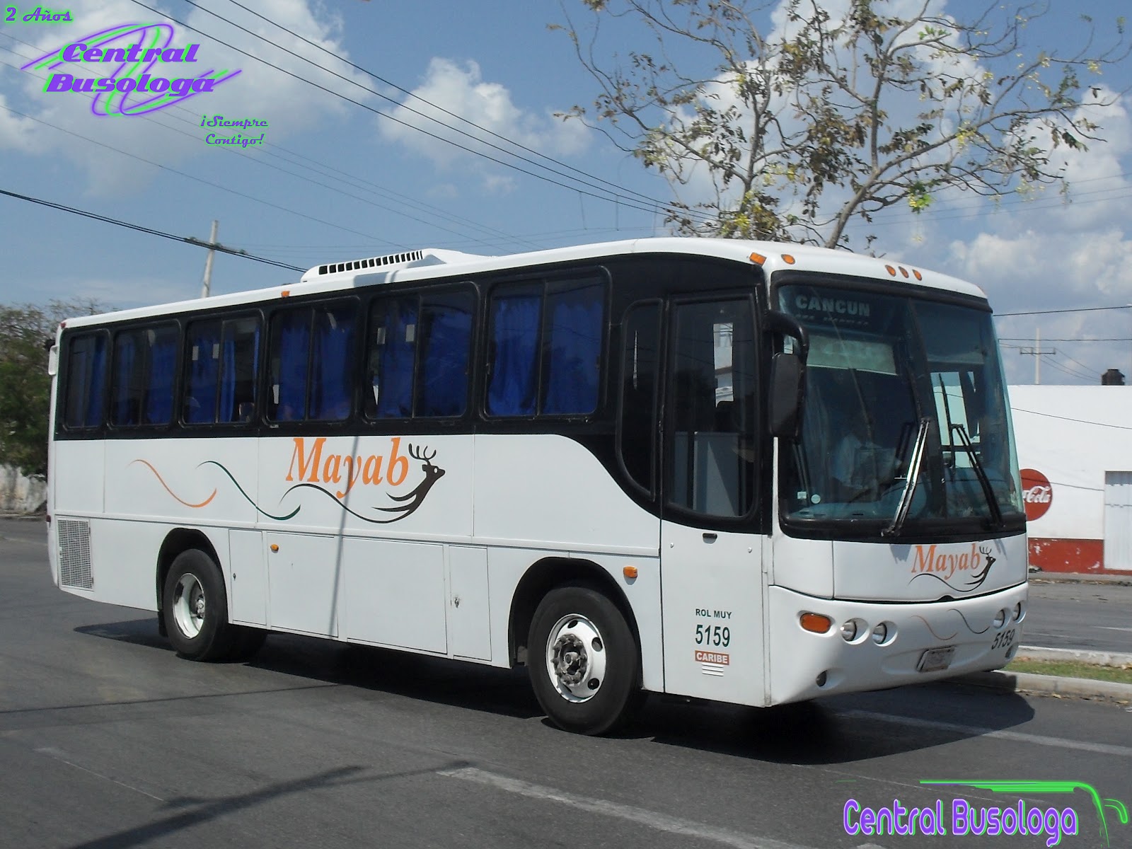 o.OCentral BusologaO.o°• Mayab.