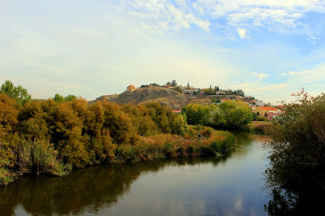 Río Jarama a su paso por Titulcia-Madrid