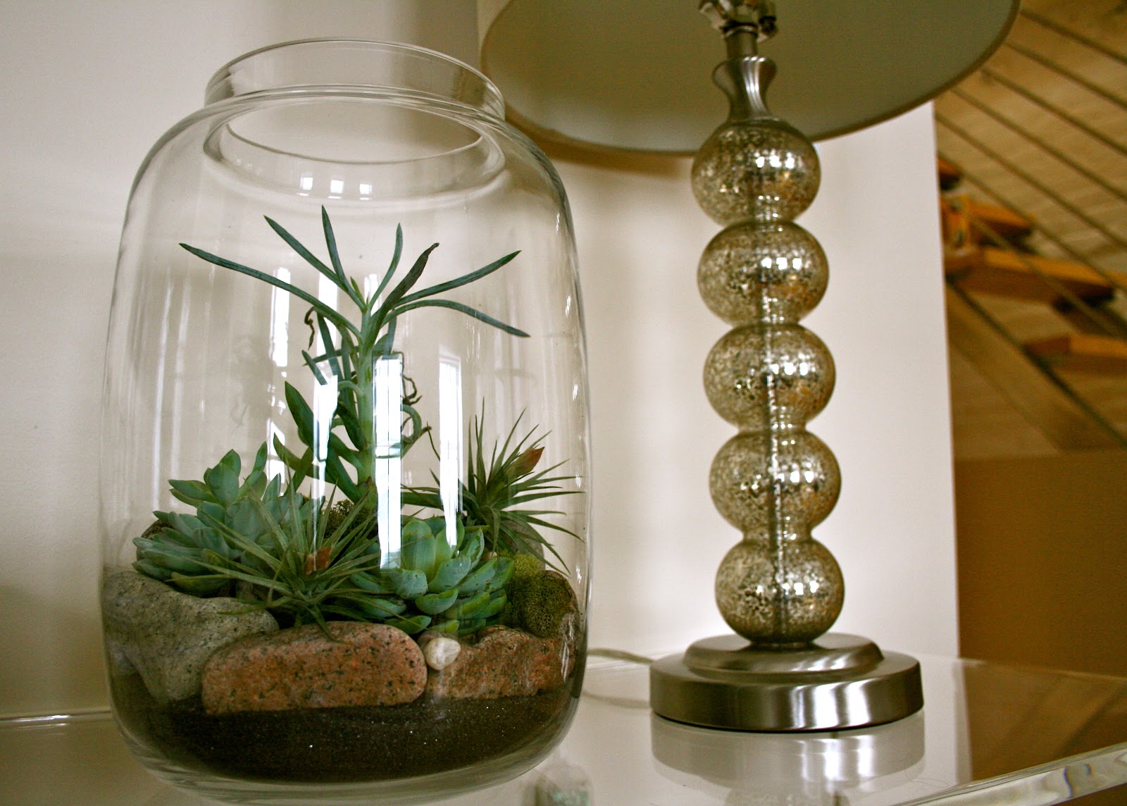 lynzariums terrariums in the south end