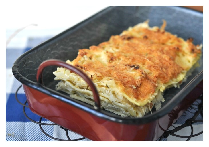 Lasagna made with sauerkraut, the perfect gluten-free soulfood for long winter nights