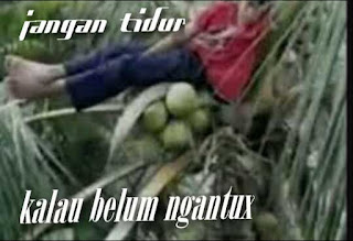 Meme Lucu Terbaru Tentang Tidur Meme Lucu Terbaru Tentang Tidur