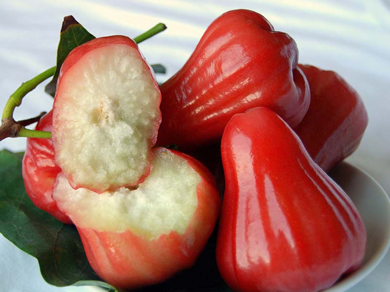 Яблоко тайланд Яблоко тайланд