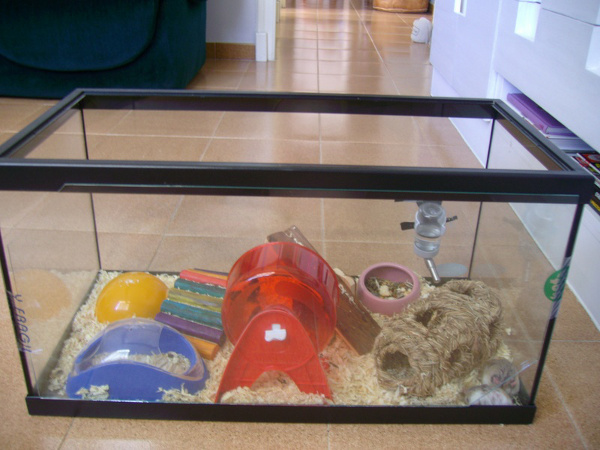 Hamster houses