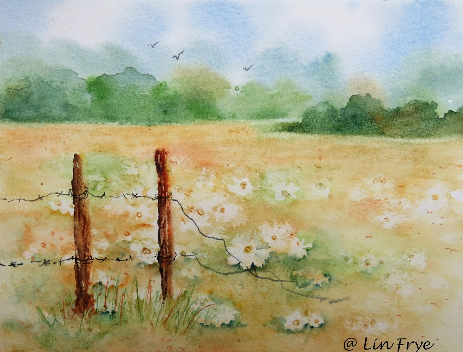 Sketching in Nature Field of Daisies Lin Frye