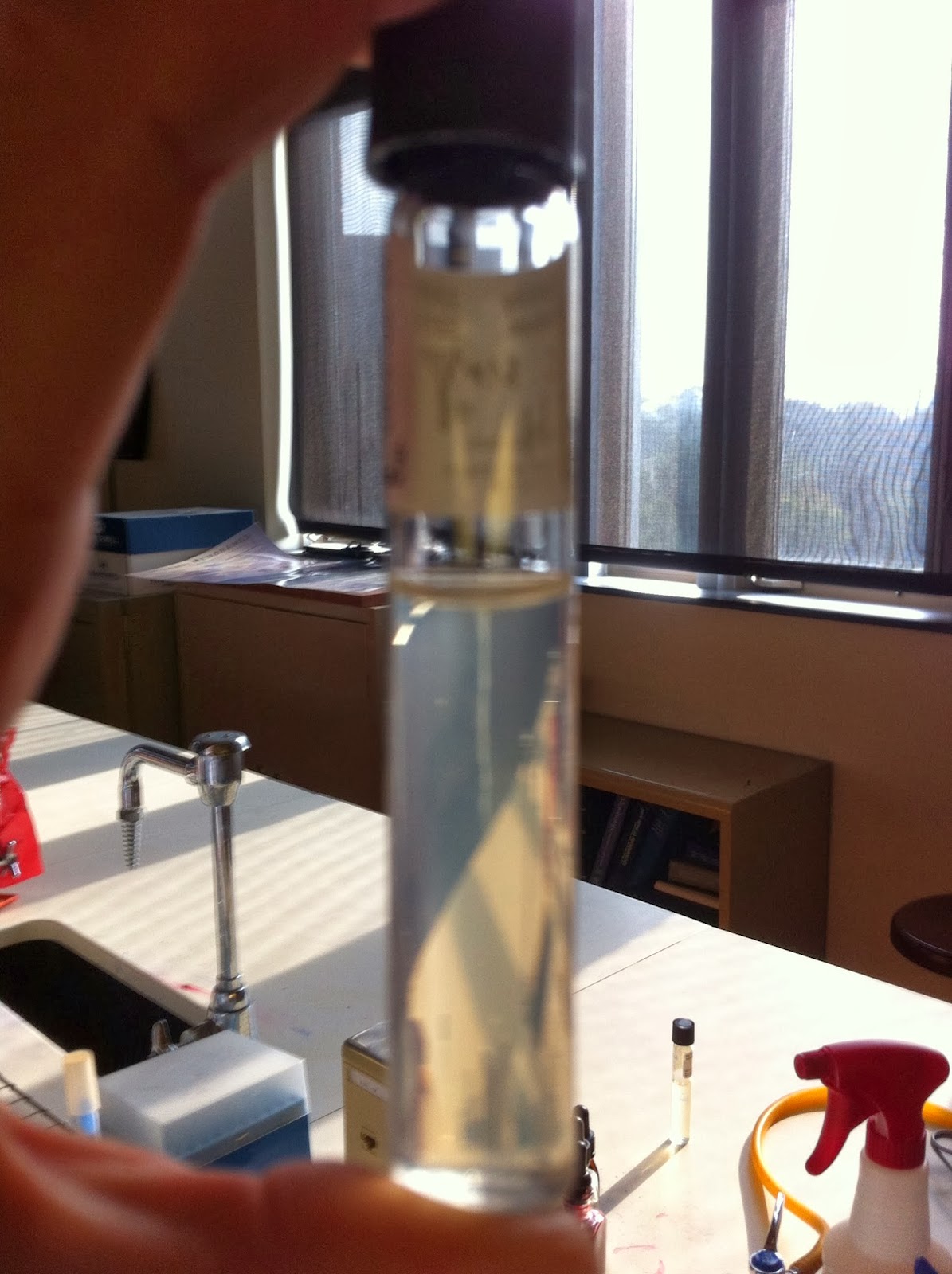 Franciscan Microbiology Lab Motility Testing