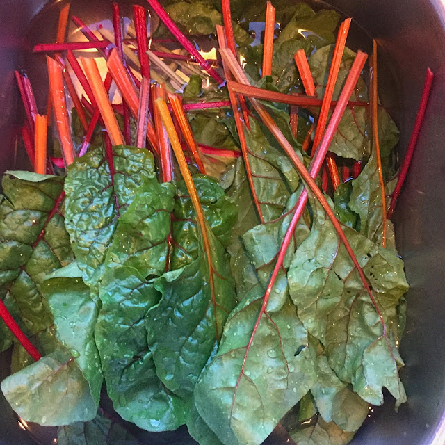 Colorful organic Swiss chard from home urban yard garden