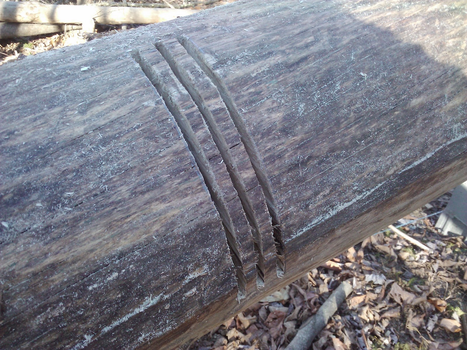Full Boar Lean Homestead: Notching in and levelling floor joists