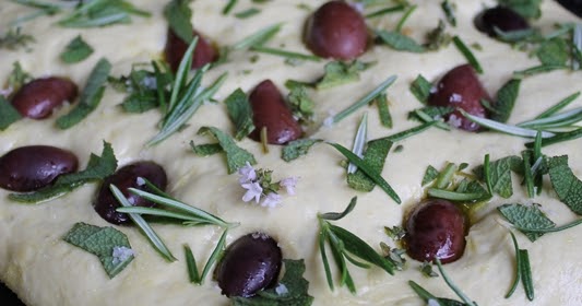 Gourmandises végétariennes: Oliven-Kräuter-Focaccia