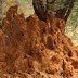Ant Hill Forest Escape