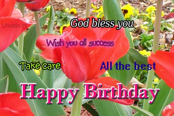 Happy Birthday e greetings and wishes with rose on quote god bless you.