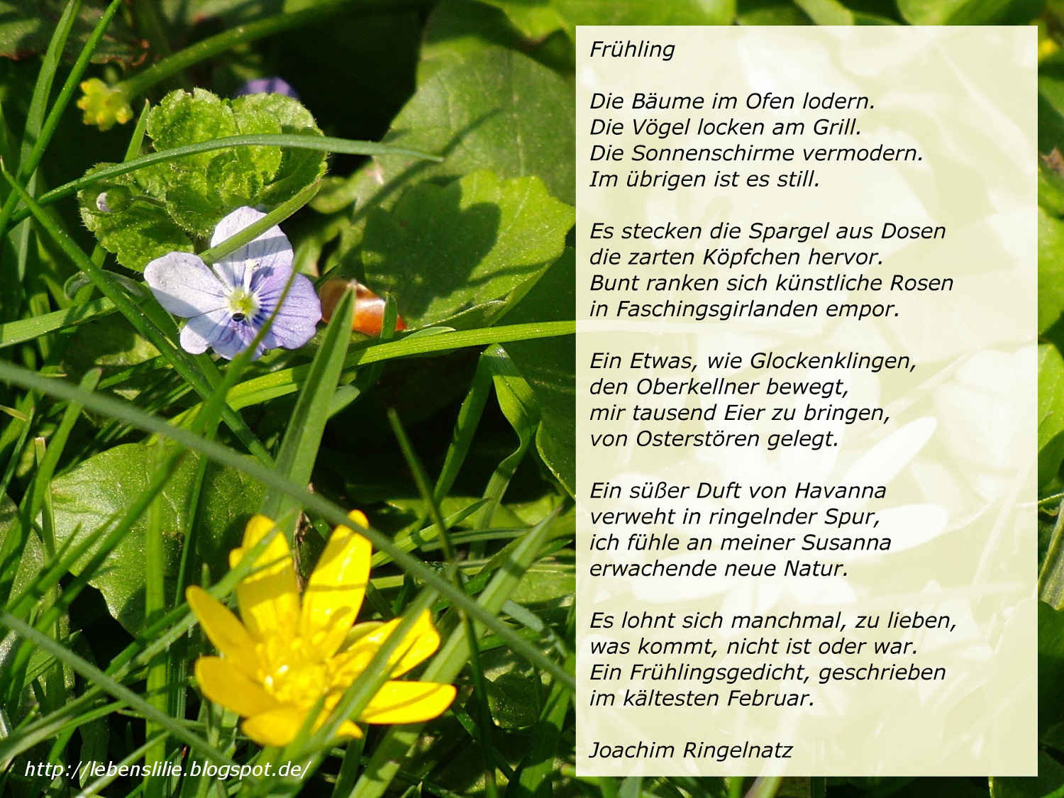Lebenslilie: Frühlingsgedicht: Frühling von Joachim Ringelnatz