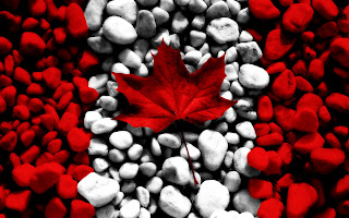 Canada Flag Real Leaf and Stones Awesome Photoshop Design Wallpaper
