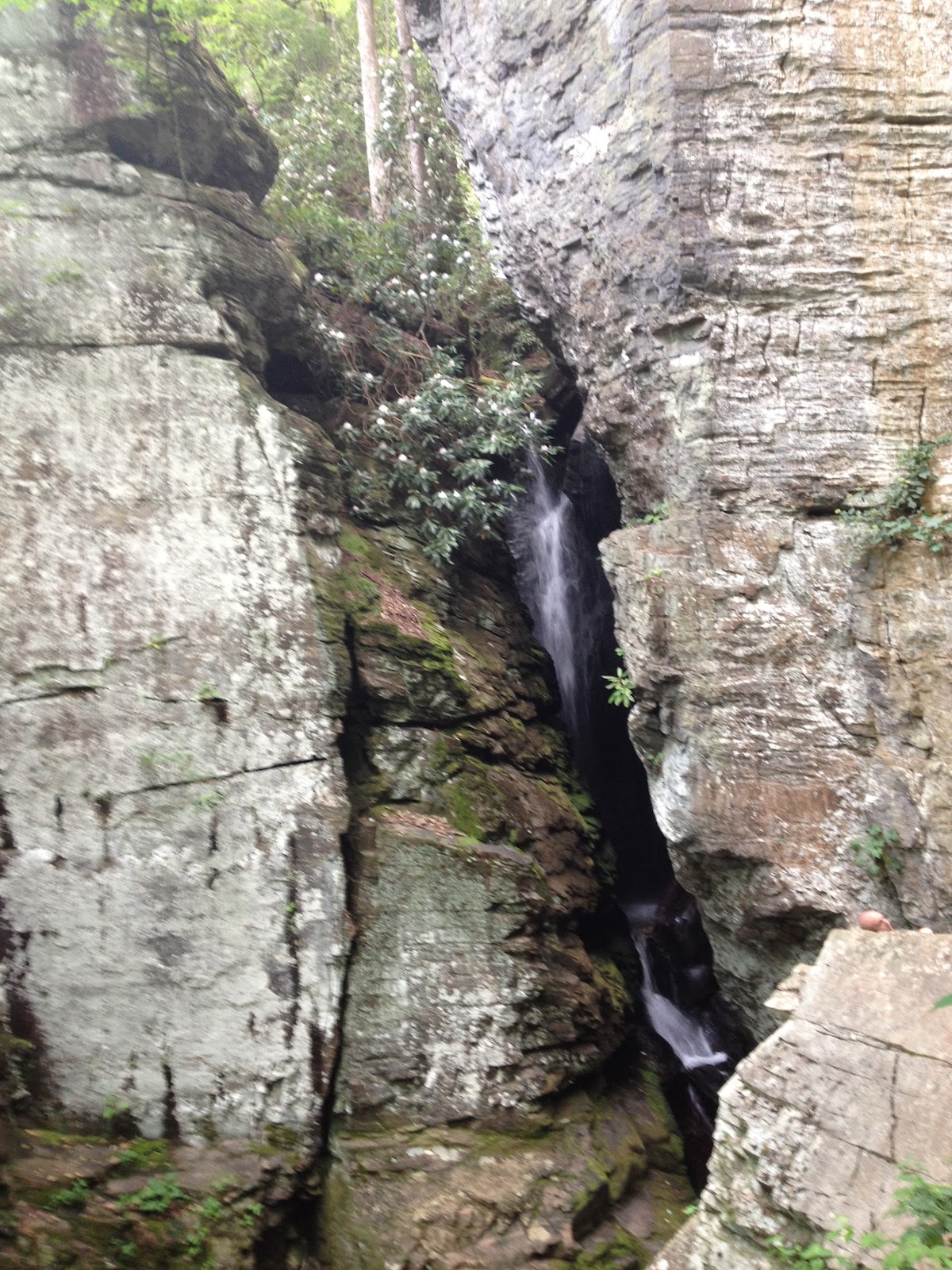 Backpacking & Camping Backpacking Raven Cliff Falls Trail