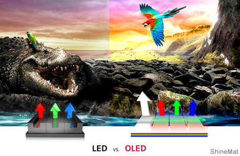 lg oled display