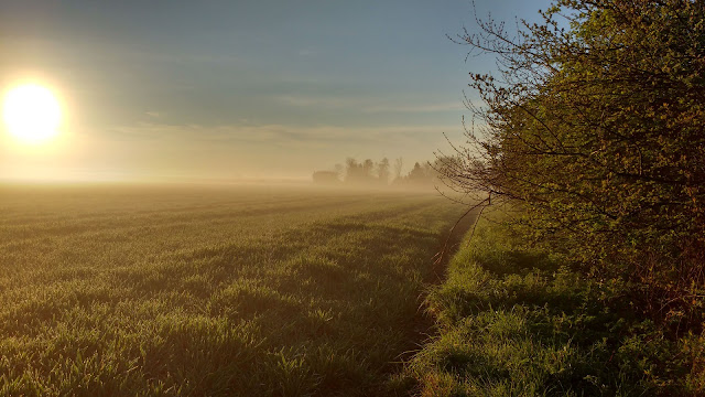 Best UK photography blog Norfolk countryside Vuelio media
