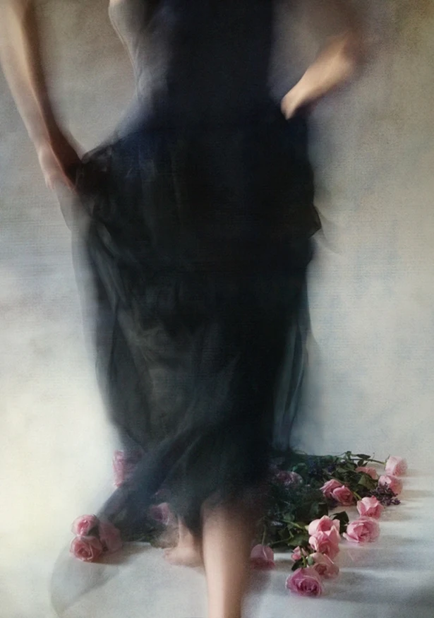 Miriana Mitrovich | Bulgarian-born Canadian Abstract photographer | Four Dozen Roses Miriana Mitrovich | Bulgarian-born Canadian Abstract photographer | Four Dozen Roses