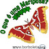 O que é uma Mariposa?