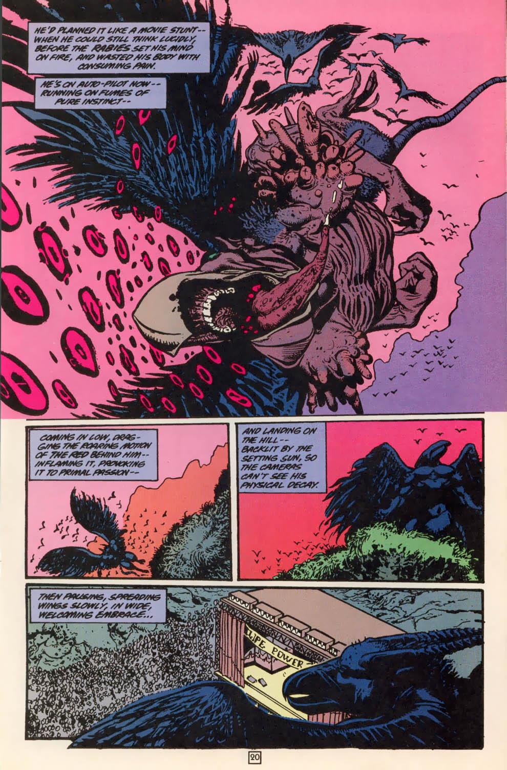 Read online Animal Man (1988) comic -  Issue #79 - 20