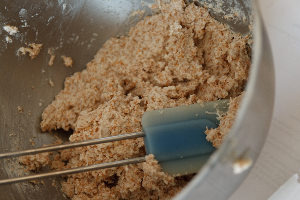 Food for Thought WholeWheat Yogurt Biscuits