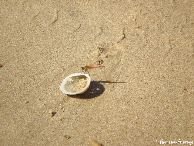 inthenameofvintage inthenameofvintage