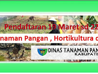 Alamat Dinas Tanaman Pangan Hortikultura Dan Perkebunan Provinsi Riau