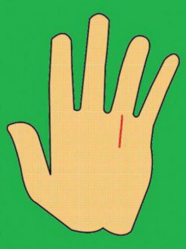 Menarik, Begini Garis Tangan Orang yang Bakal Kaya dan