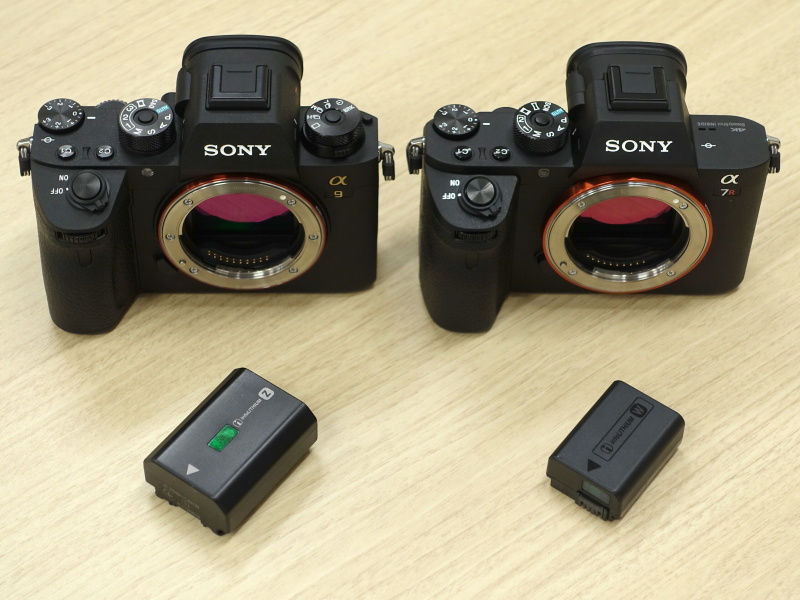 Сравнение Sony A9 и A7R II