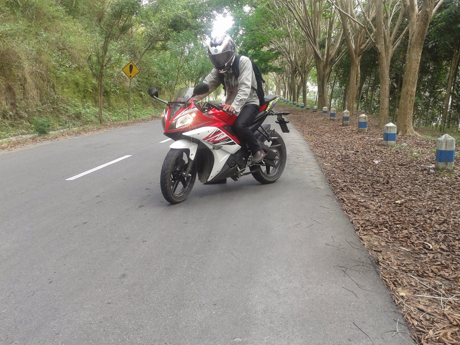 Kawasaki Ninja R15?