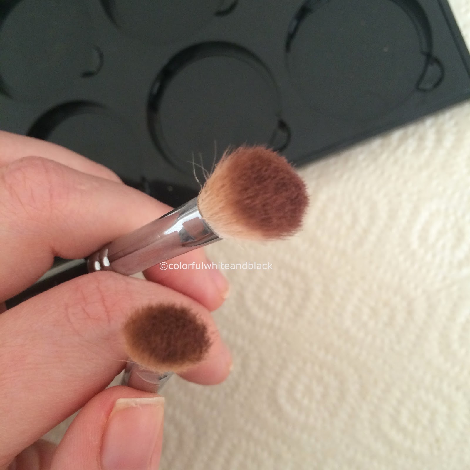 Colorful White & Black Brush Cleanser ebelin vs. Kiko