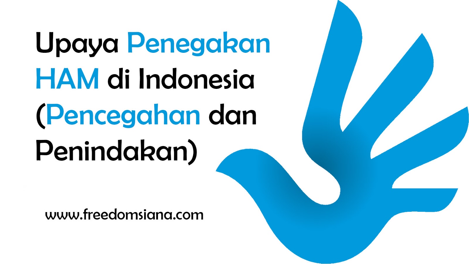 Upaya Penegakan Ham Di Indonesia Pencegahan Dan Penindakan