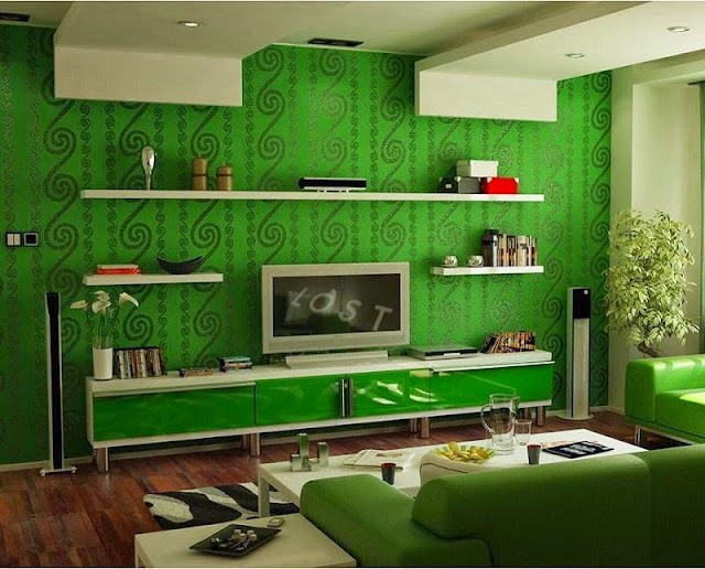 minimalist green living room design