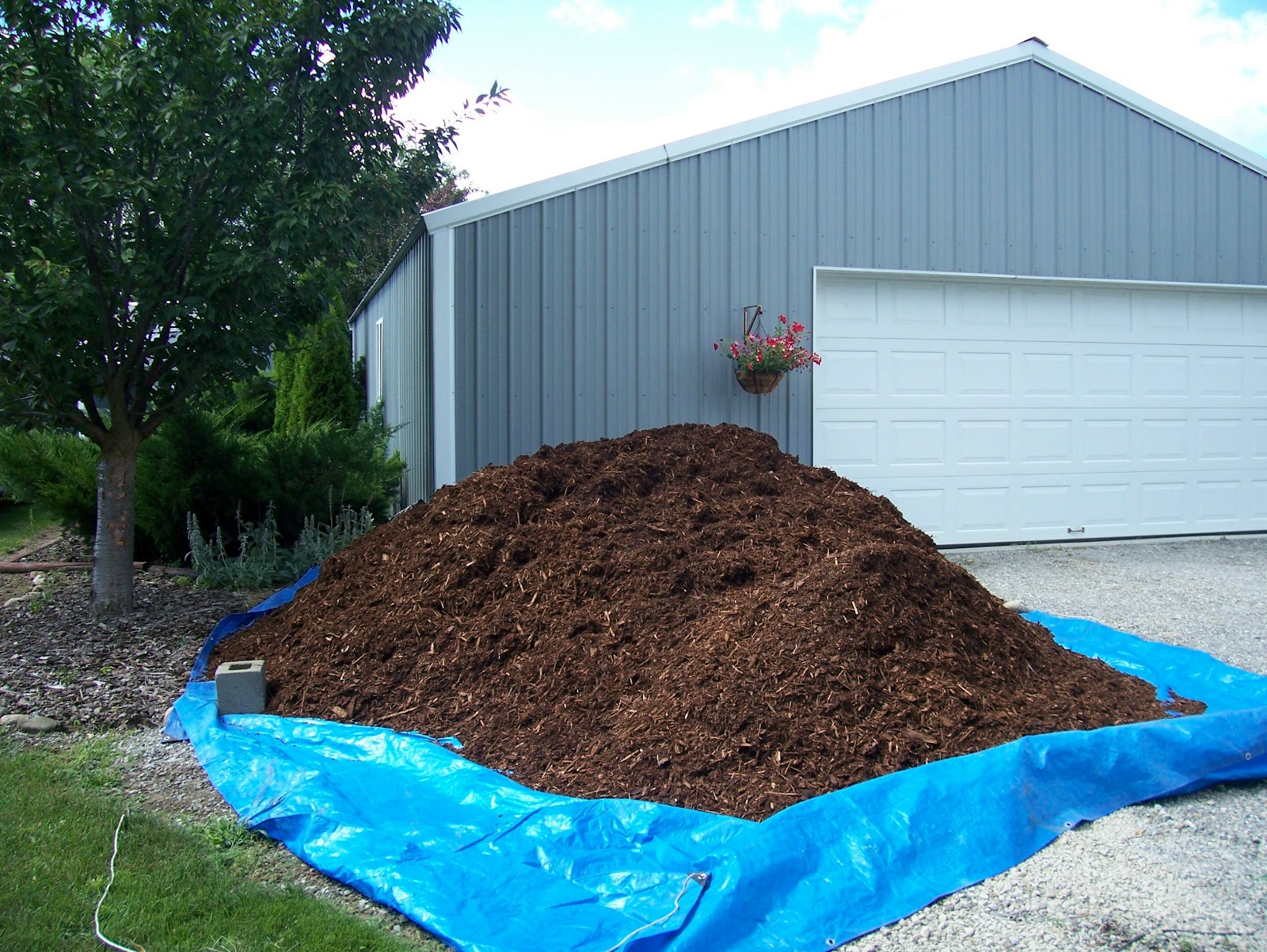 Adrienne's Corner This is what seven yards of bark looks like...w