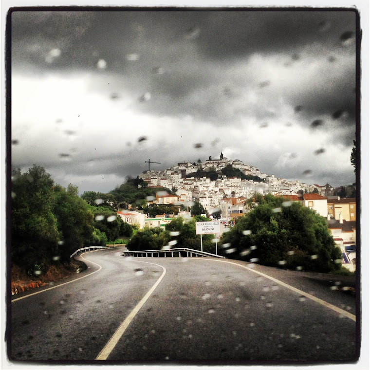 LLUVIAS DEL MES DE MARZO 12-3-2013