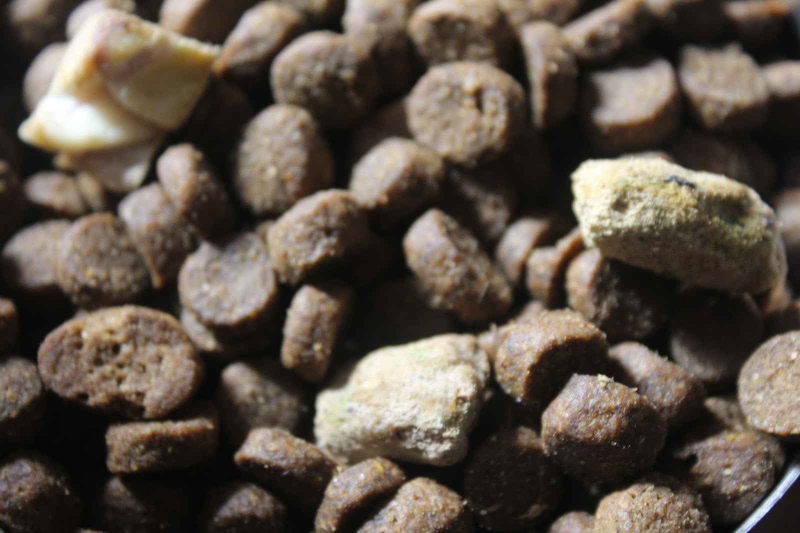 Dog Madness PowerFusion Grain Free Raw Infused Dog Food Is Pawesome