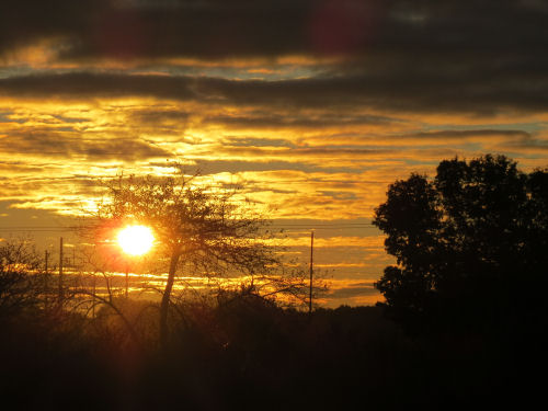 sunrise