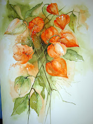 watercolor watercolour yvonne flowers harry chinese lanterns aquarelle painting flower paintings florals aquarell floral water watercolours artist laternen watercolors drawing