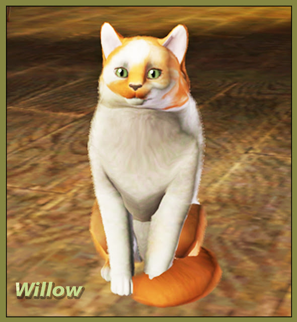 Willow.jpg